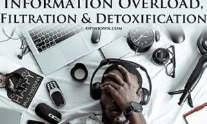 information-overload-cover