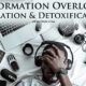 information-overload-cover